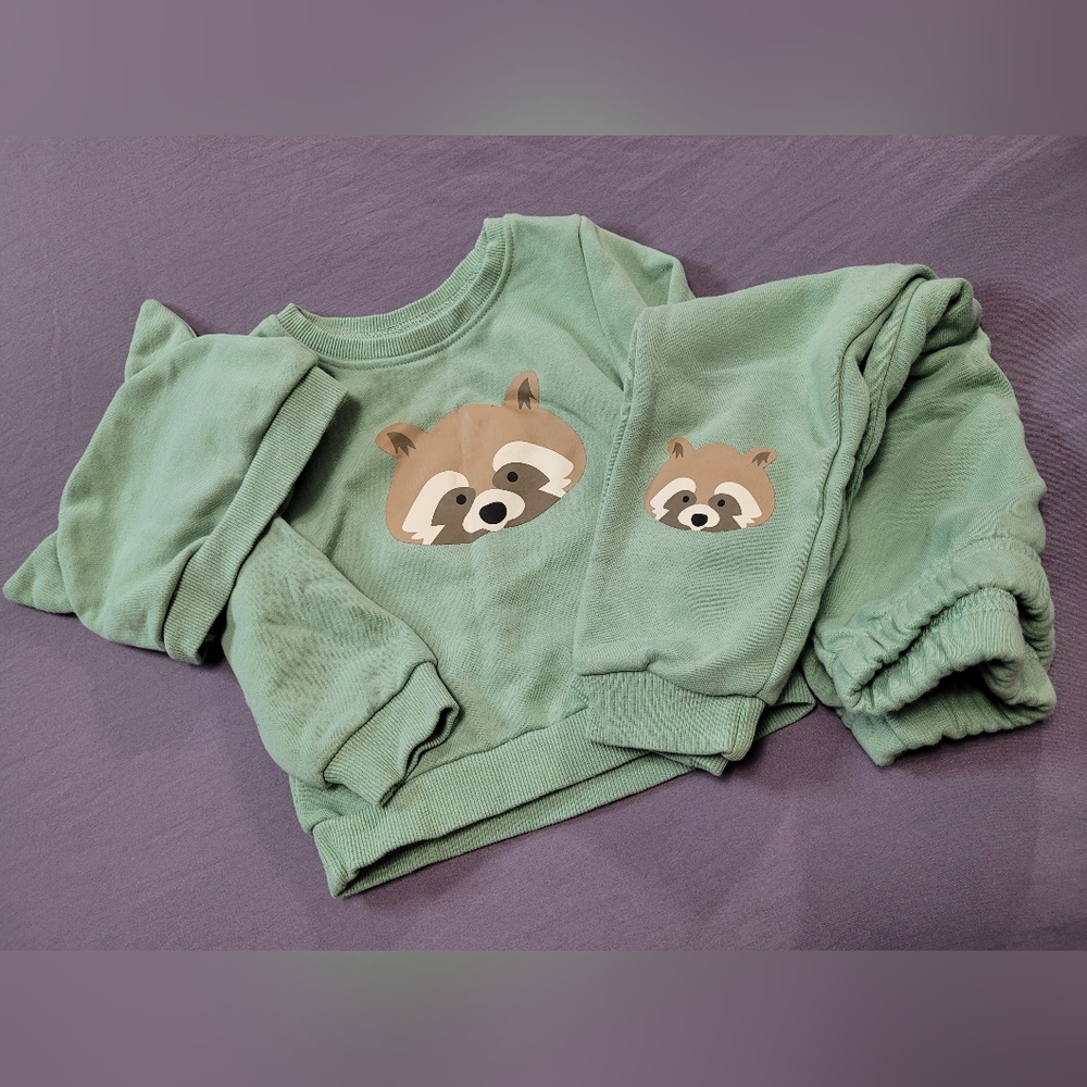 ✨️3/$25✨️ Toddler Mint Green Raccoon Print 3 Pc Set